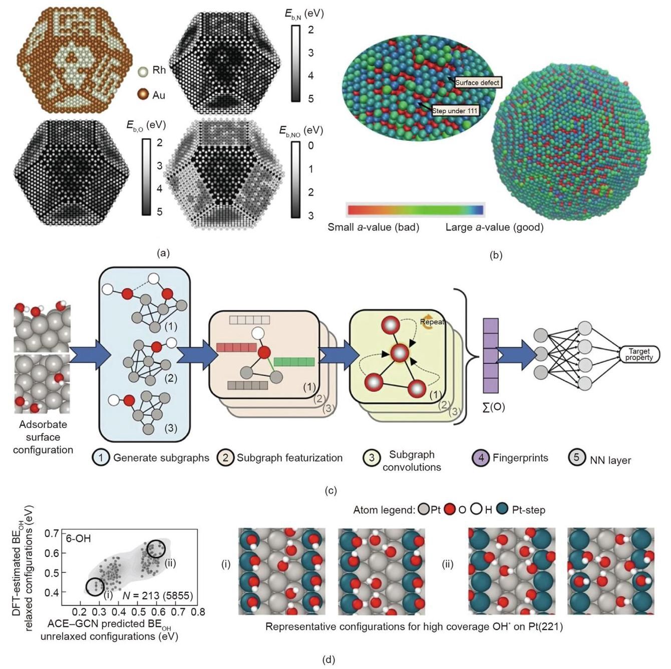 cジュンセット② Unraveling Divergence in Haloselectivity of SNAr and Cross