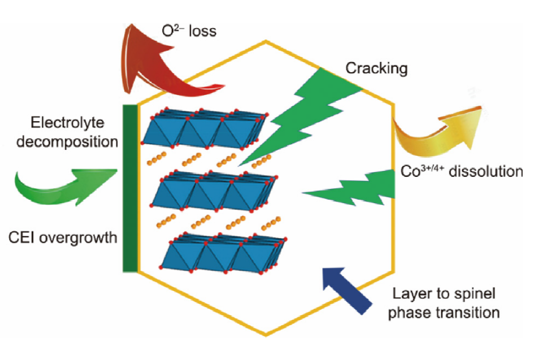 NM 専用 Research progress on the interfaces of solid-state lithium