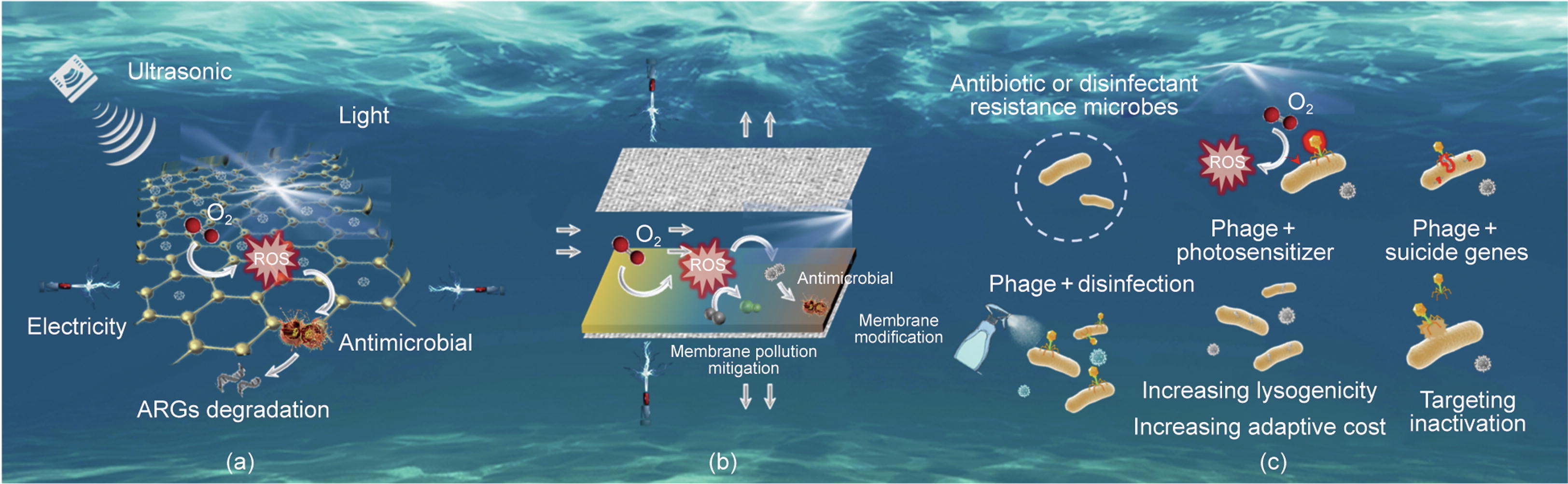 Emerging Technologies for the Control of Biological Contaminants