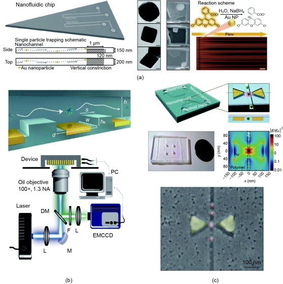 Nanofluidic Manipulation of Single Nanometric Objects
