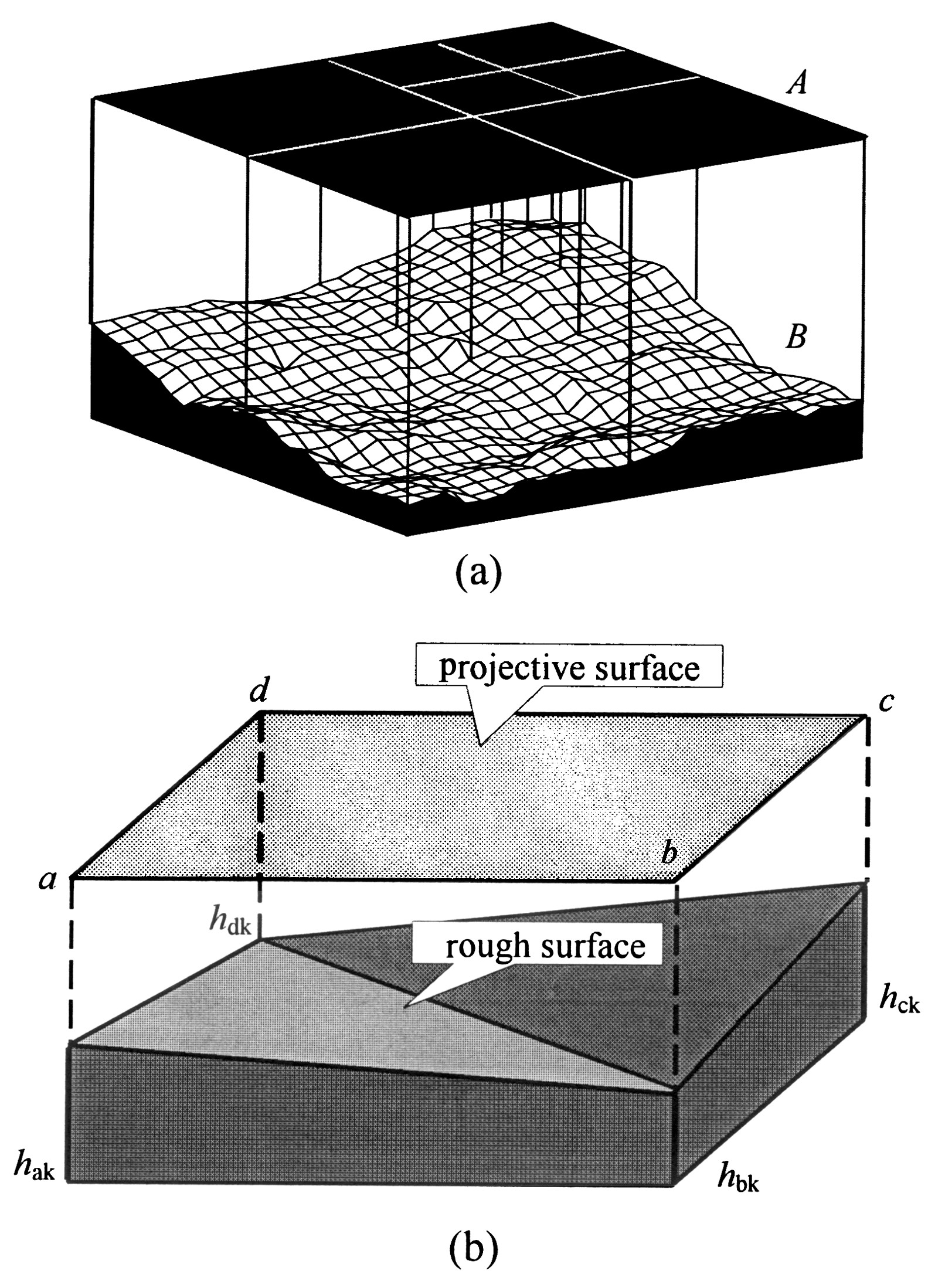 图5 投影覆盖法 (a) 和粗糙表面 面积的估算方法 (b)