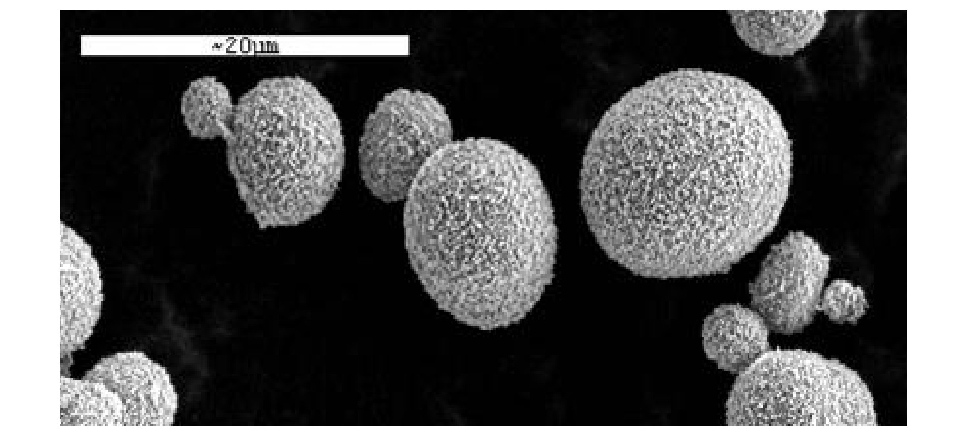 图8 包覆Co (OH) 2的球形
Ni (OH) 2的SEM照片
Fig.8 TEM image of Co (OH) 2 coated 
spherical Ni (OH) 2